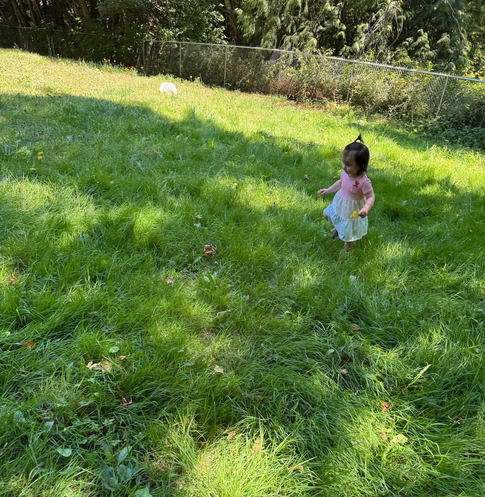 A small child playing in grass