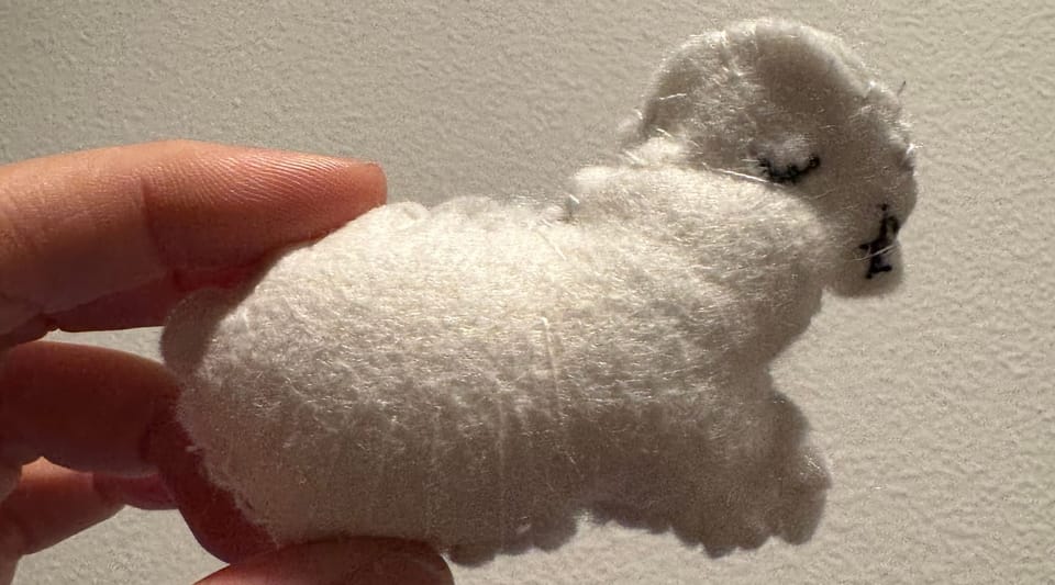 what else has me completely booked: november 2025