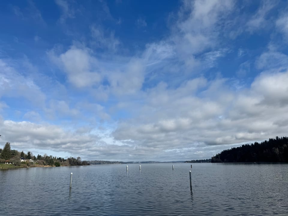 march 2026, spring fling